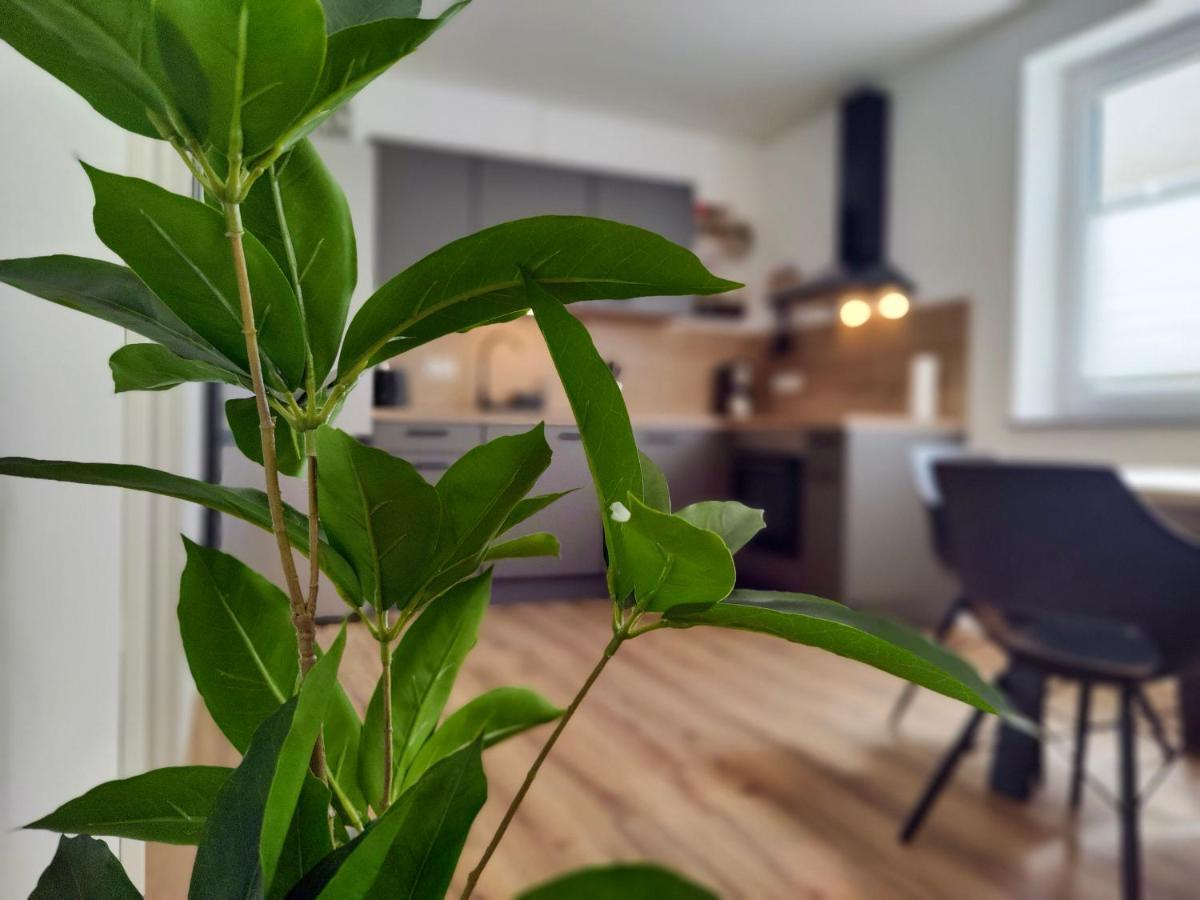 Hygge Home: Cozy Garden Retreat with Easy Access Sinsheim Exterior photo