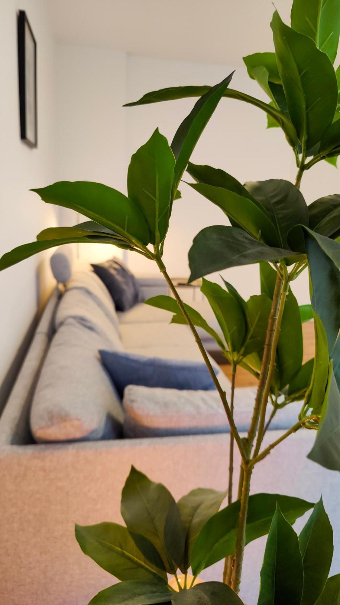 Hygge Home: Cozy Garden Retreat with Easy Access Sinsheim Exterior photo